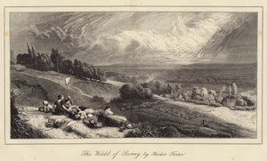 De Weald van Surrey